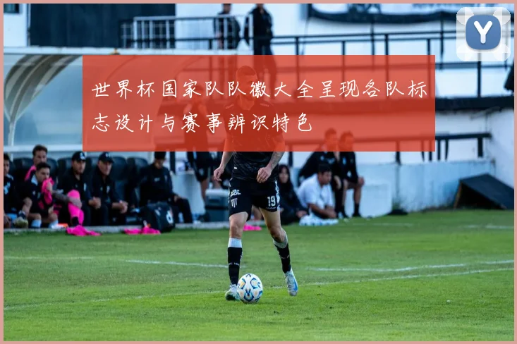 世界杯国家队队徽大全呈现各队标志设计与赛事辨识特色